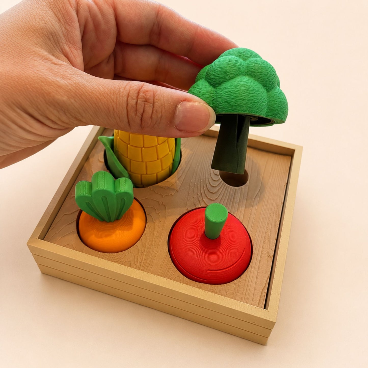 Potager Sensoriel