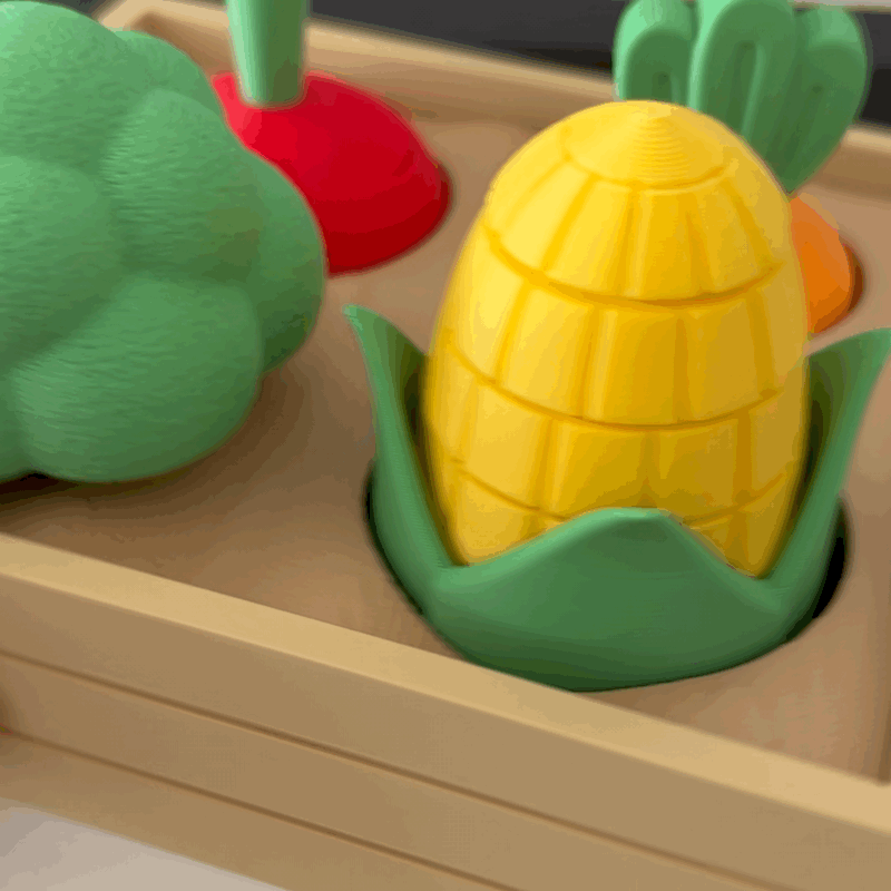 Potager Sensoriel